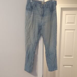 Everlane The Super Soft Relaxed Jean Size 30 Regular In Vintage Light Blue